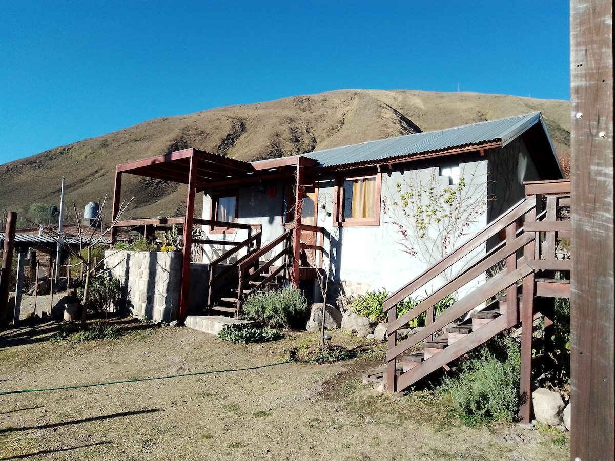 A cozy cabin is set against a backdrop of rolling hills, featuring a metal roof and wooden decks with stairs leading to the entrance. Surrounding greenery adds a serene touch, while clear skies provide ample natural light.