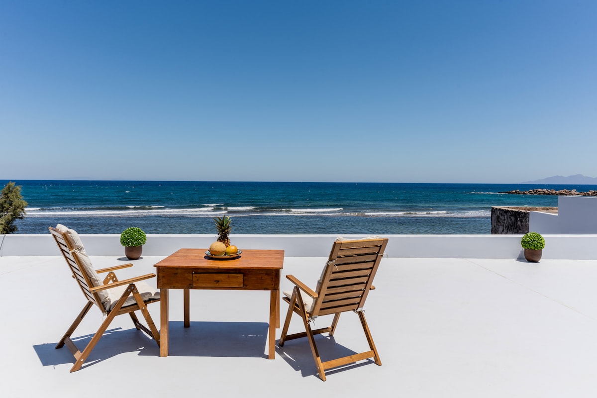 A spacious outdoor patio is depicted with two wooden lounge chairs and a simple wooden table. Potted plants are positioned nearby, while the serene sea and clear blue skies provide a scenic backdrop. Gentle waves are visible in the distance, enhancing the coastal atmosphere.