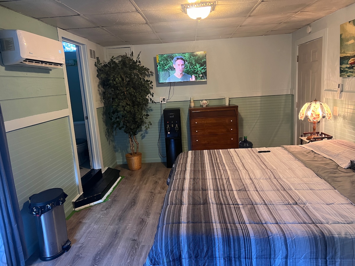 A spacious sleeping area features a king-size bed with a striped blanket and a nightstand. A private entrance is visible to the left, while an HD Smart TV is mounted on the wall across from the bed. A lamp and decorative plant add character to the room.