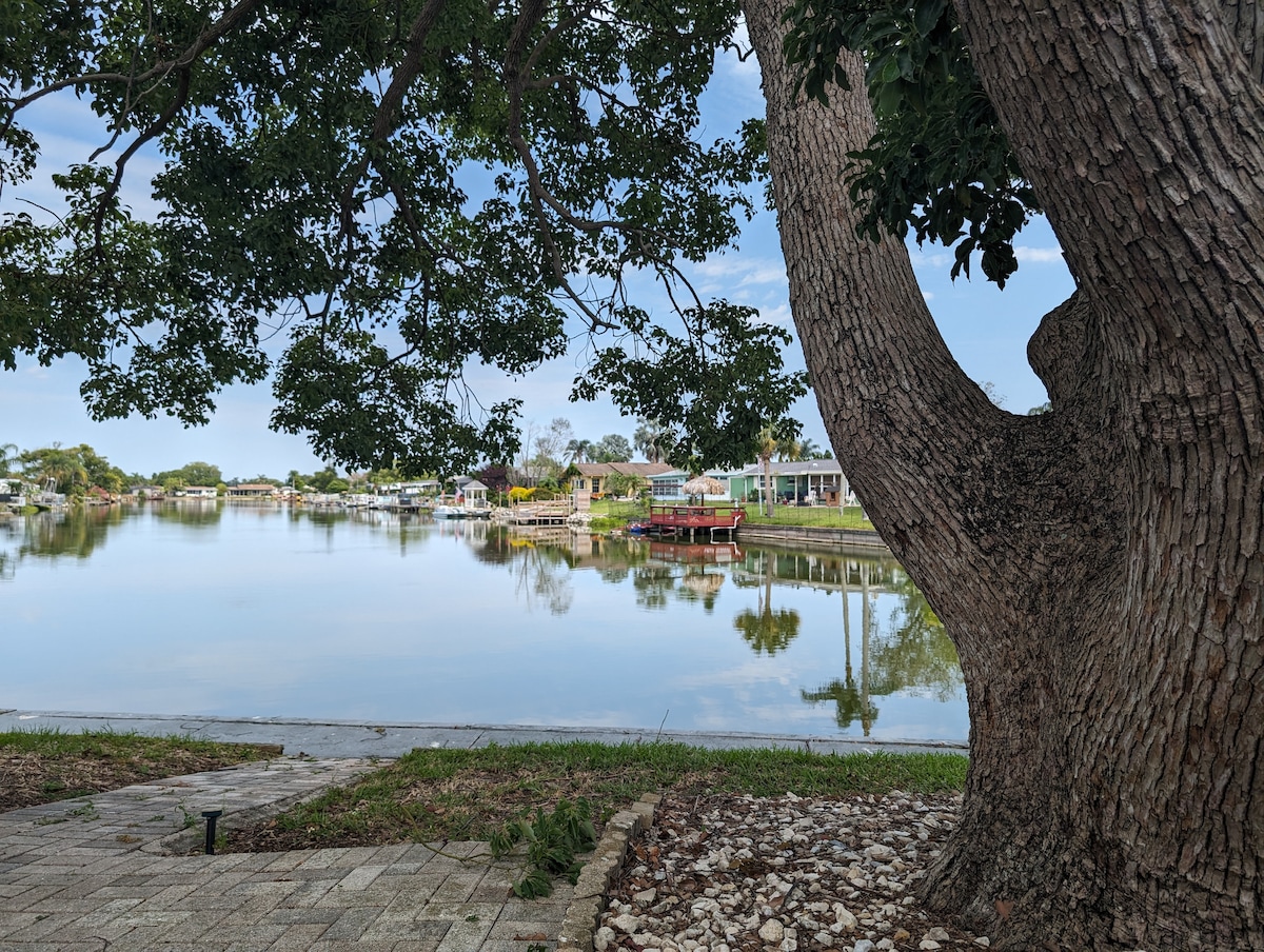 A scenic view of a calm lake is framed by the trunk of a large tree. The water reflects surrounding greenery and houses, creating a serene atmosphere. A stone pathway leads toward the lake, enhancing access to outdoor enjoyment.