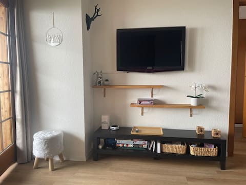 Popular Airbnb listing: 2-room apartment in Ayent