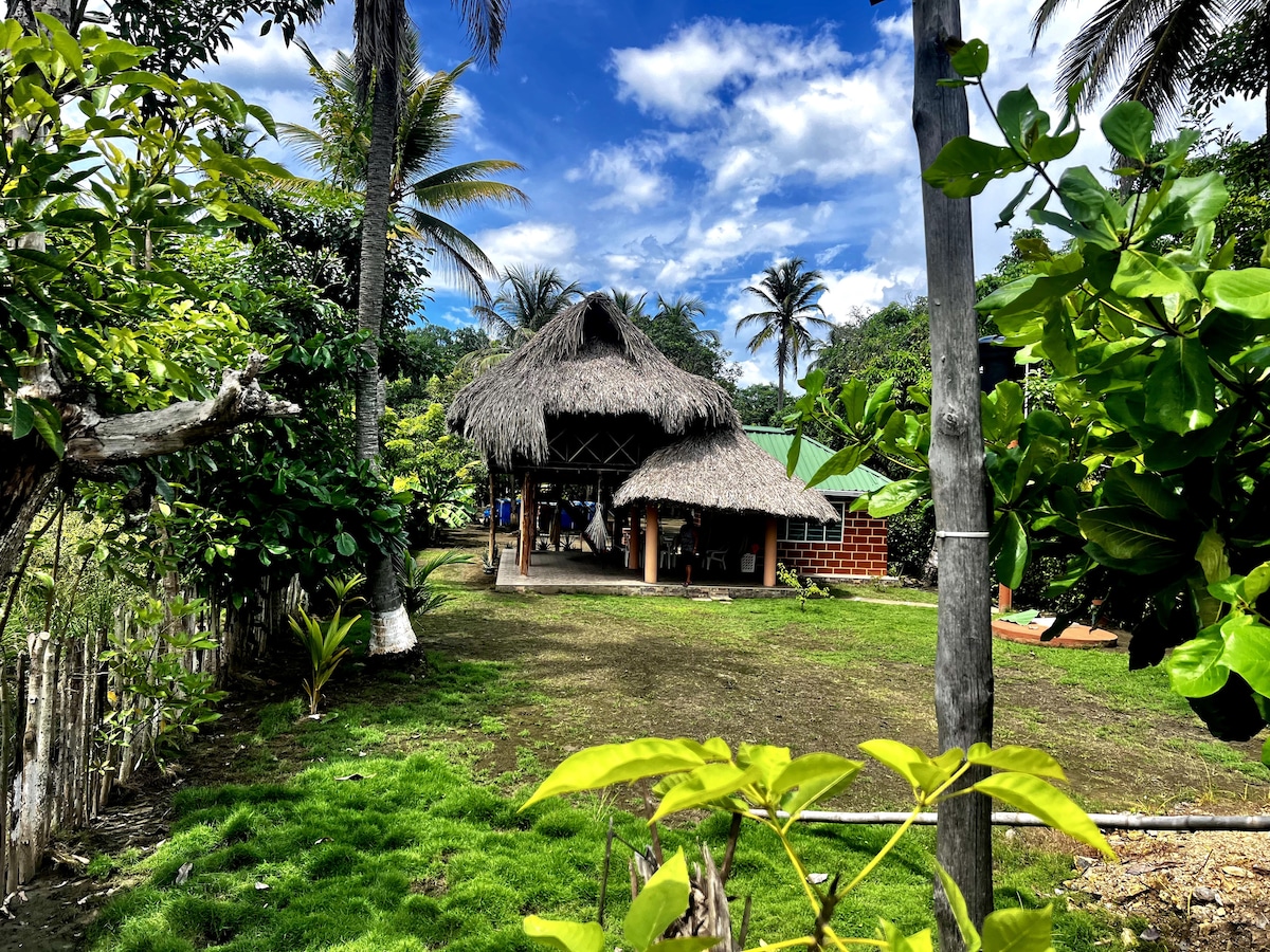 A charming cabin with a thatched roof is surrounded by lush greenery and palms. The spacious outdoor area features well-maintained grass and several trees, creating a serene environment. Blue skies and soft clouds complement this tranquil setting, emphasizing a connection to nature.