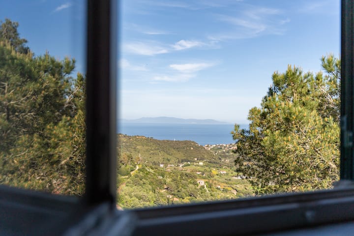 The nest by the sea