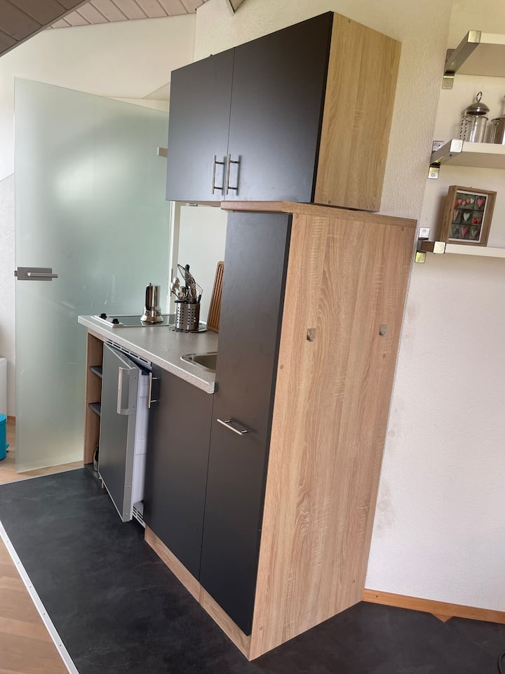 Dachgeschoss Loft Mit Seeblick - Konstanz