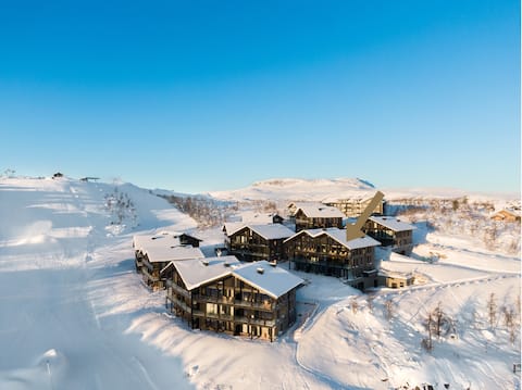 Unique top apartment with ski in/out on Geilo