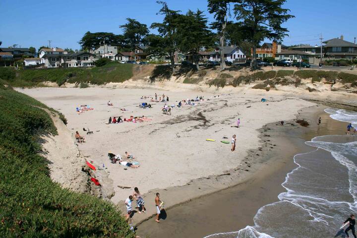 Sunnycove Beachfront Beauty gallery image 4