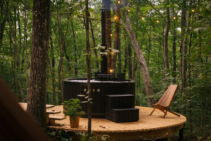 The Laurel Zome - Dome houses for Rent in Rising Fawn, Georgia