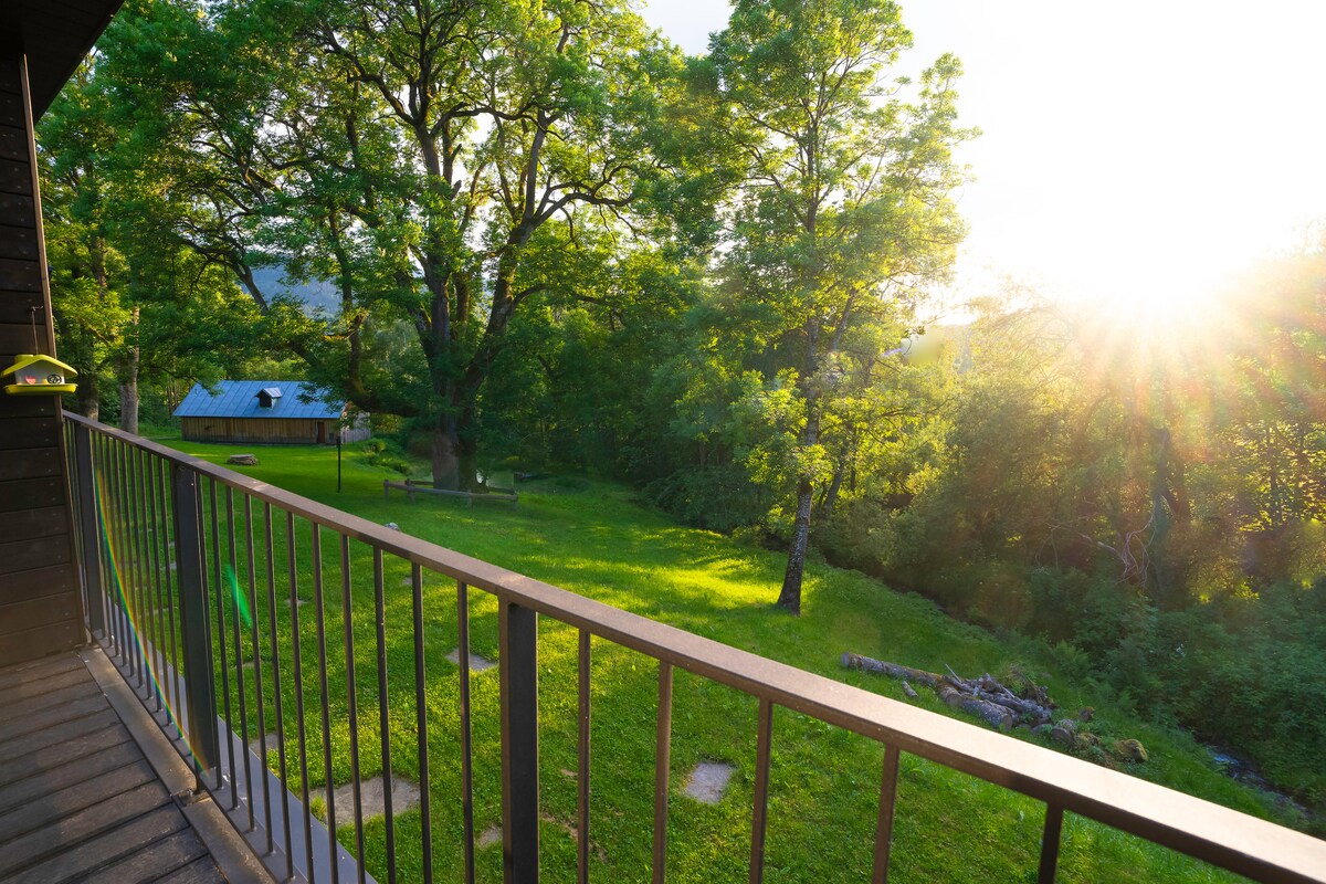 A balcony view overlooking a lush green landscape, with tall trees providing shade. Sunlight filters through the branches, casting a warm glow on the grassy area below, which features a few scattered stones and logs.