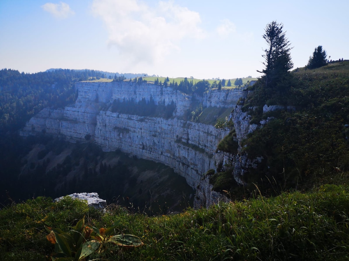 A rugged cliff face is visible, showcasing layered rock formations and sparse vegetation. Pine trees are scattered across the landscape, while rolling hills can be seen in the background. The sky appears clear with soft clouds, illuminating the natural scenery.