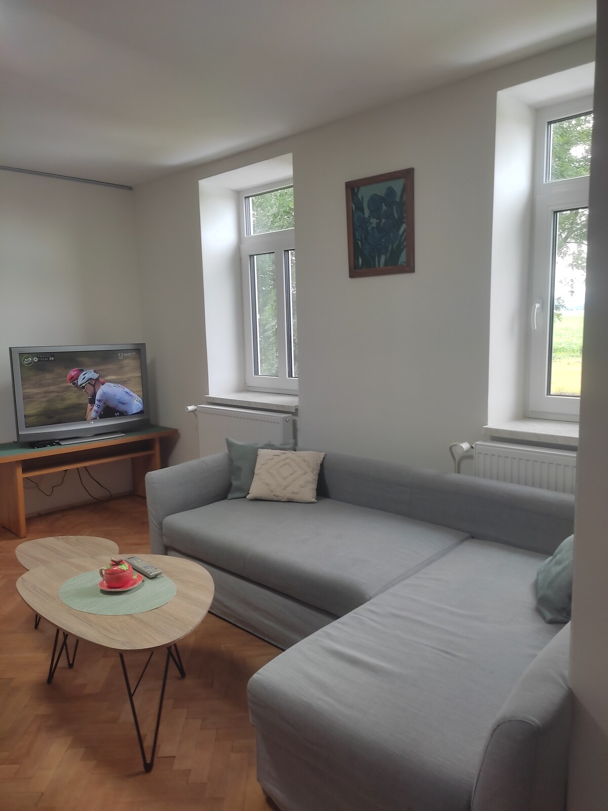 A bright living area features a light gray sectional sofa and a small wooden coffee table with a decorative item on it. Two windows allow natural light to fill the space, while a television is positioned nearby for entertainment.