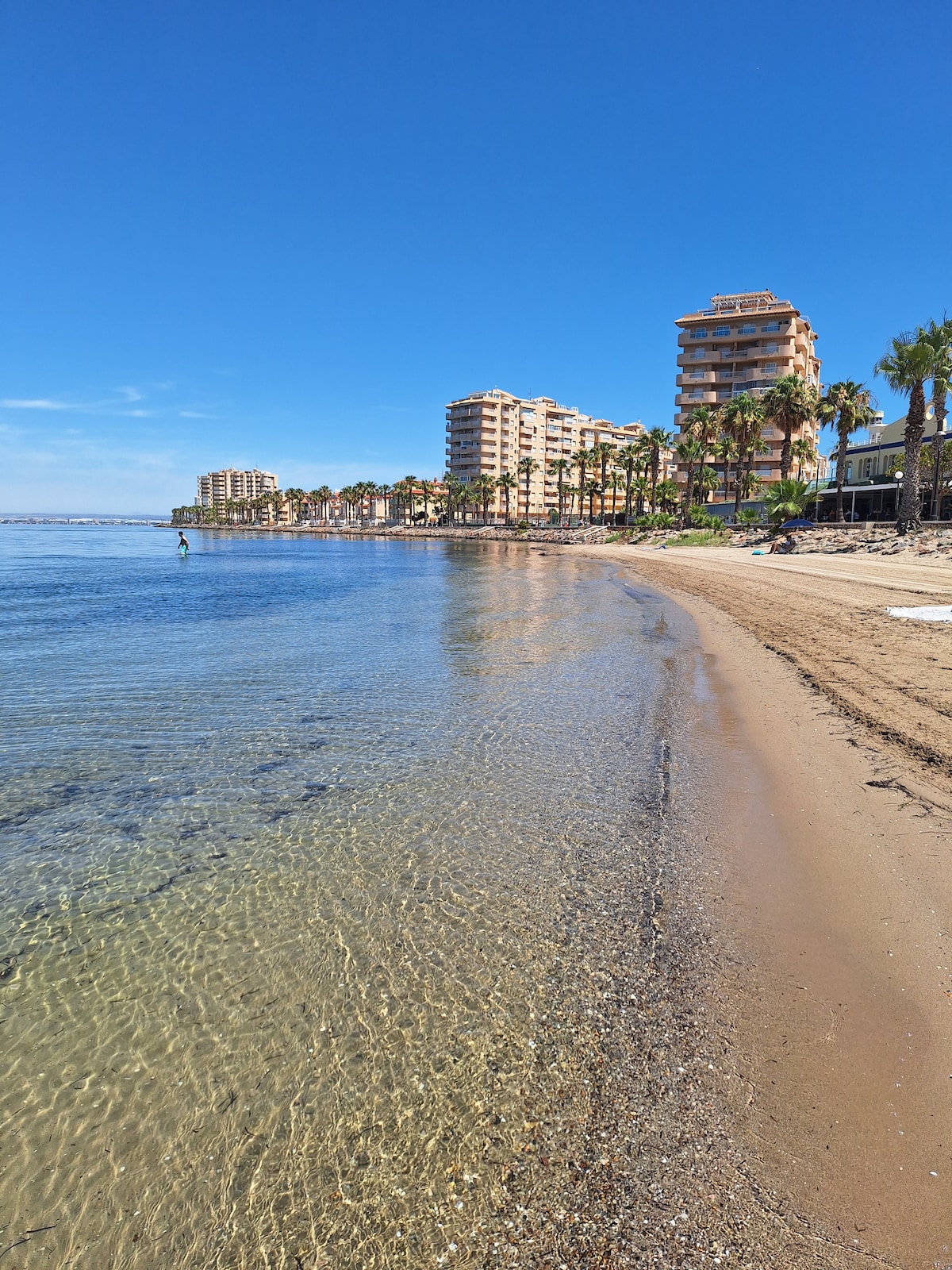 A sandy beach is viewed, with calm waters gently lapping at the shoreline. In the background, several modern buildings are seen, lined with palm trees, under a clear blue sky. The tranquil environment invites relaxation and leisurely walks along the coast.