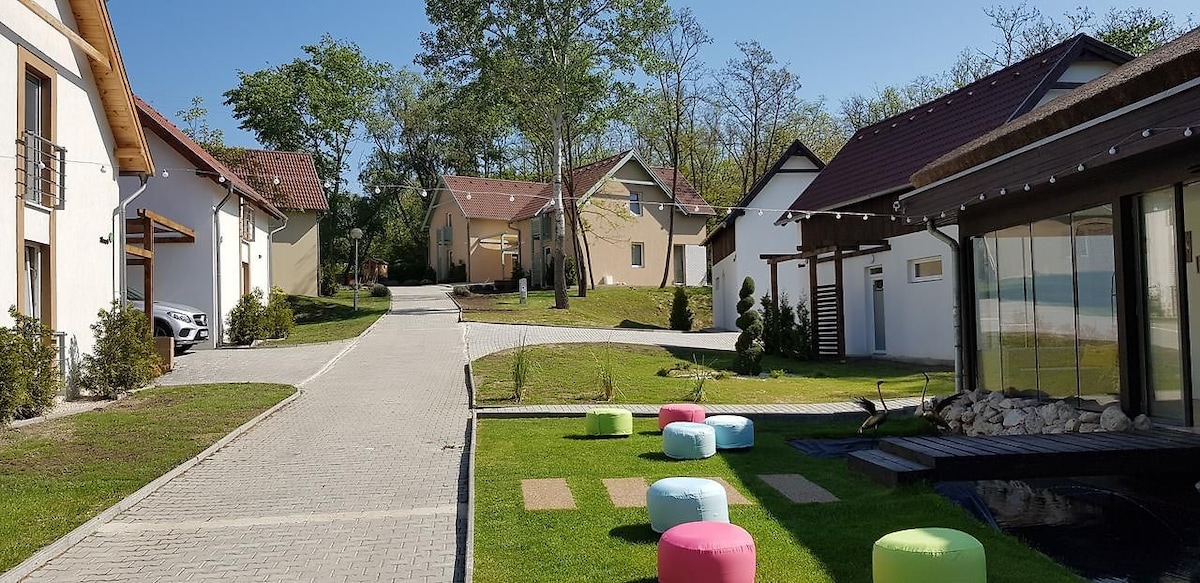 A serene outdoor area features a paved pathway leading towards various charming houses surrounded by greenery. Colorful, circular seating options are arranged on the lawn, complementing the vibrant atmosphere. Lush trees provide shade, creating a peaceful environment suitable for relaxation.