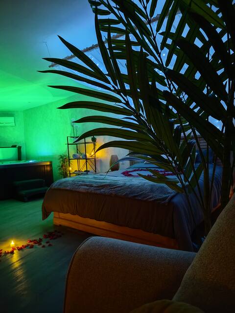 Loft Zen (private spa)