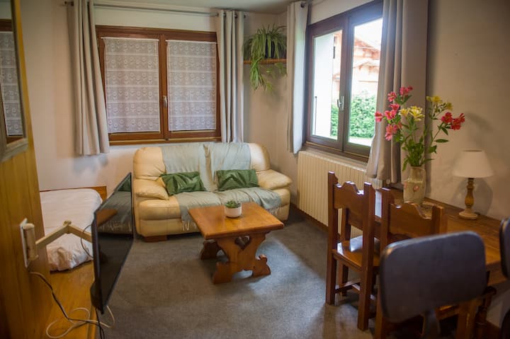 Studio Cosy&nbsp;Au Calme Et Bien éQuipé - Combloux
