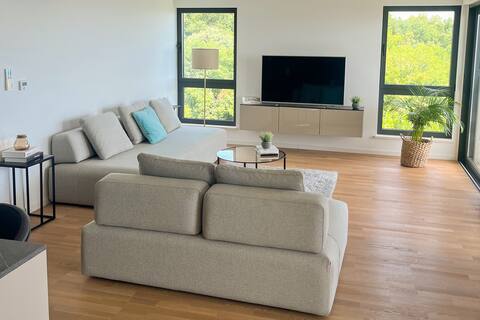 Top Airbnb: Luxury Apartment in Nature with Pool & Gym in Mjesni Odbor Draga