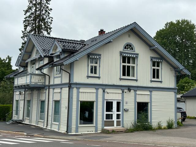 “Villa Holtet store”