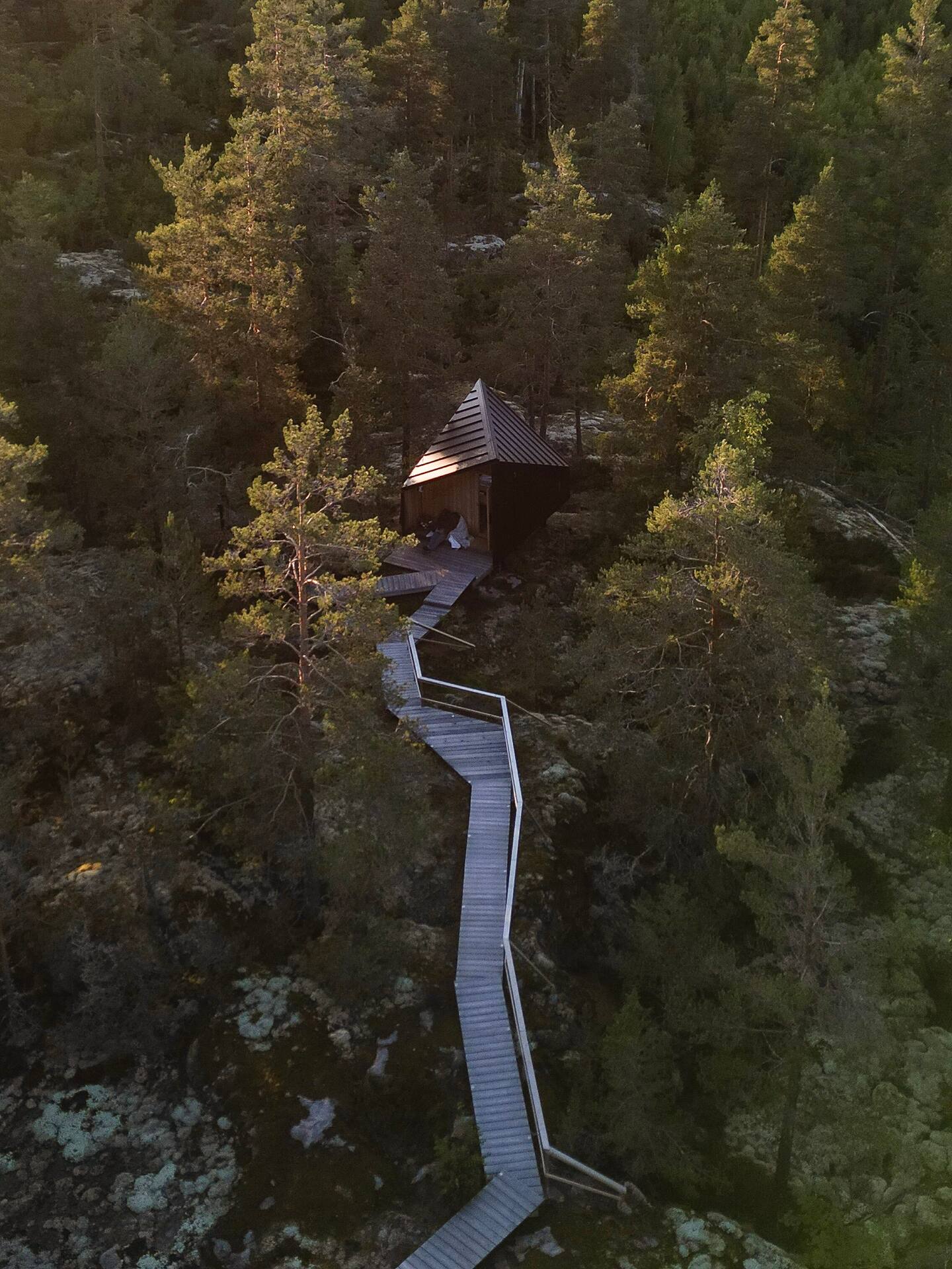 Hideaway North | Minimalist Forest Cabin 5