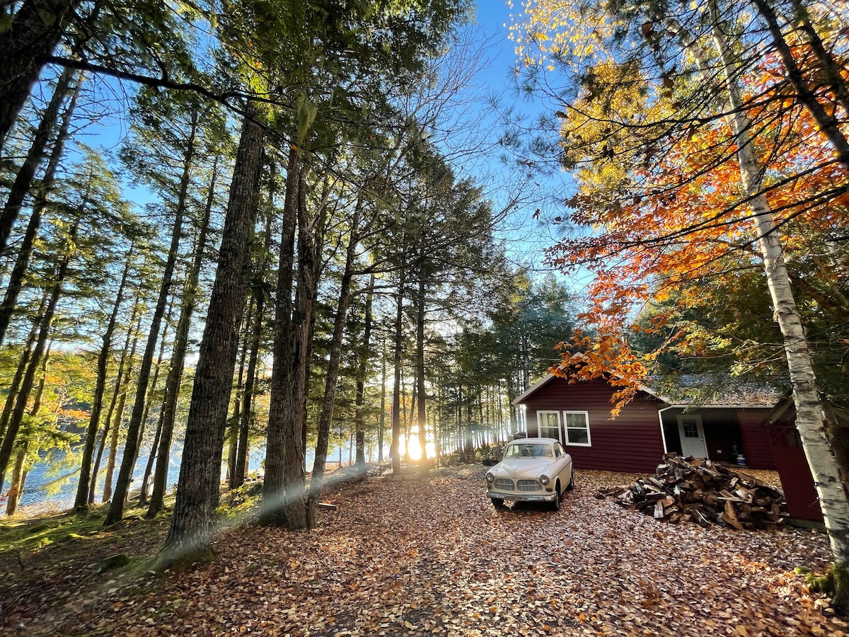 A peaceful woodland view features a red cottage nestled among tall trees, with autumn leaves scattered on the ground. A vintage car is parked nearby, while a neatly stacked pile of firewood is visible beside the cottage. Sunlight filters through the trees, illuminating the scene.