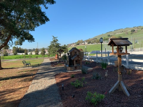 Gilroy Country Retreat with peaceful scenic view
