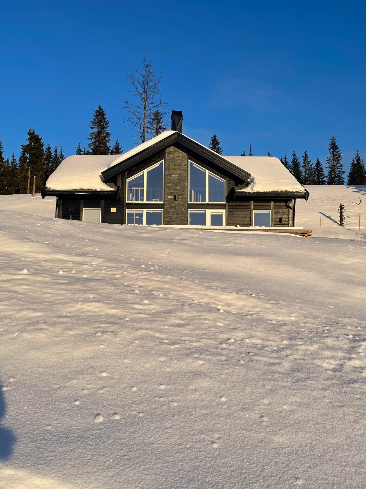 A spacious cabin is set in a snowy landscape, featuring a modern design with large windows that offer views of the surrounding nature. Snow blankets the grounds, while tall trees rise in the background against a clear blue sky.