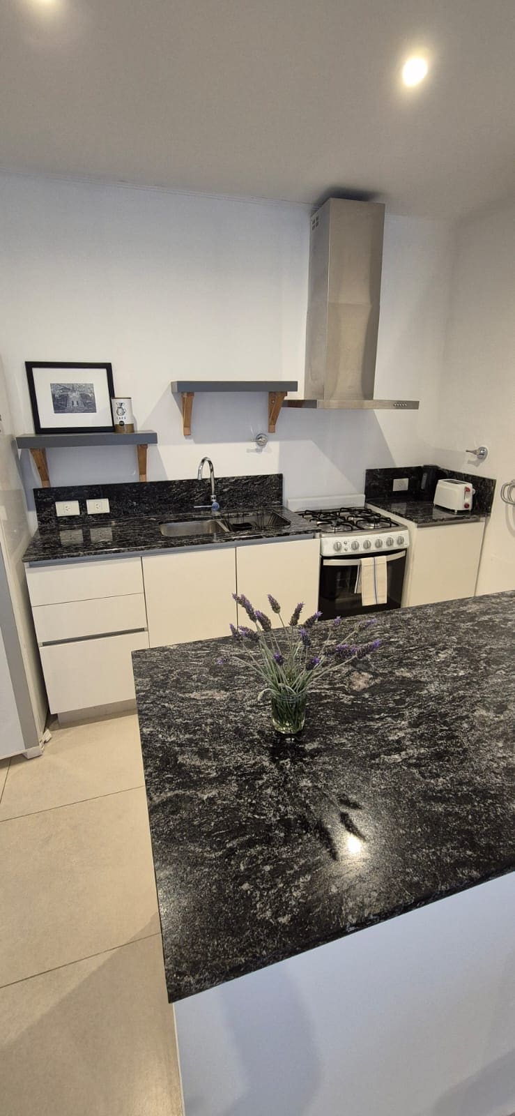 Successful Airbnb property: Modern 2 rooms with garage in Tandil