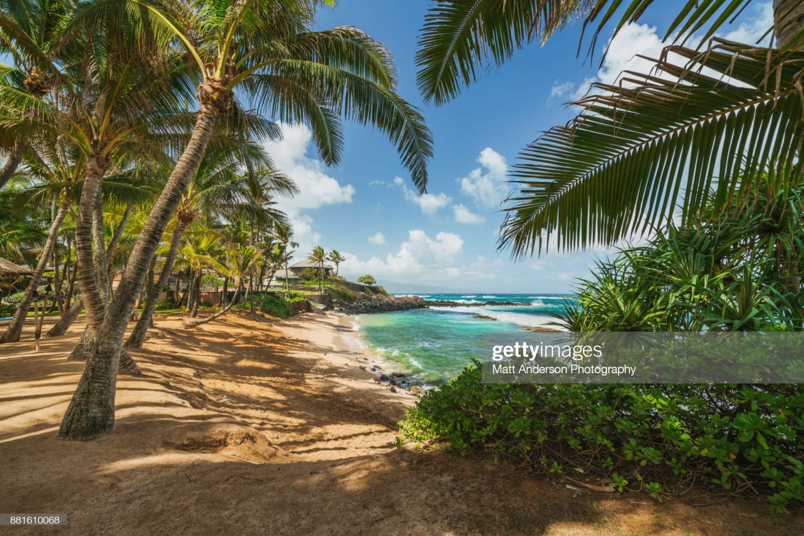 Maui Tropical House. Walk to the beach! - Image 1
