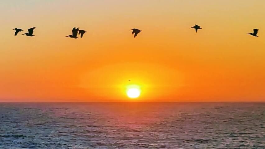 New- Stunning Oceanfront “Pelican Bluffs” gallery image 2