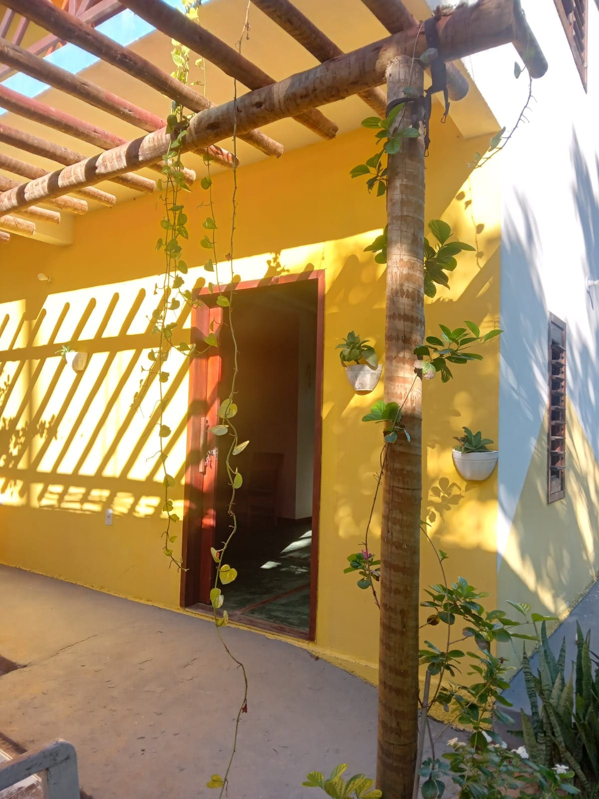An entrance is framed by a rustic wooden pergola, partially covered with green vines. The bright yellow wall offers a cheerful contrast, while sunlight creates patterned shadows on the ground. A welcoming doorway leads into the interior space beyond.