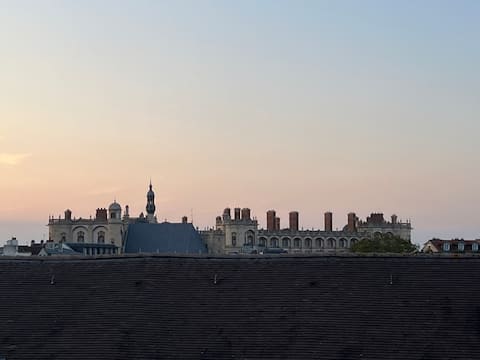 Duplex - View of Castle