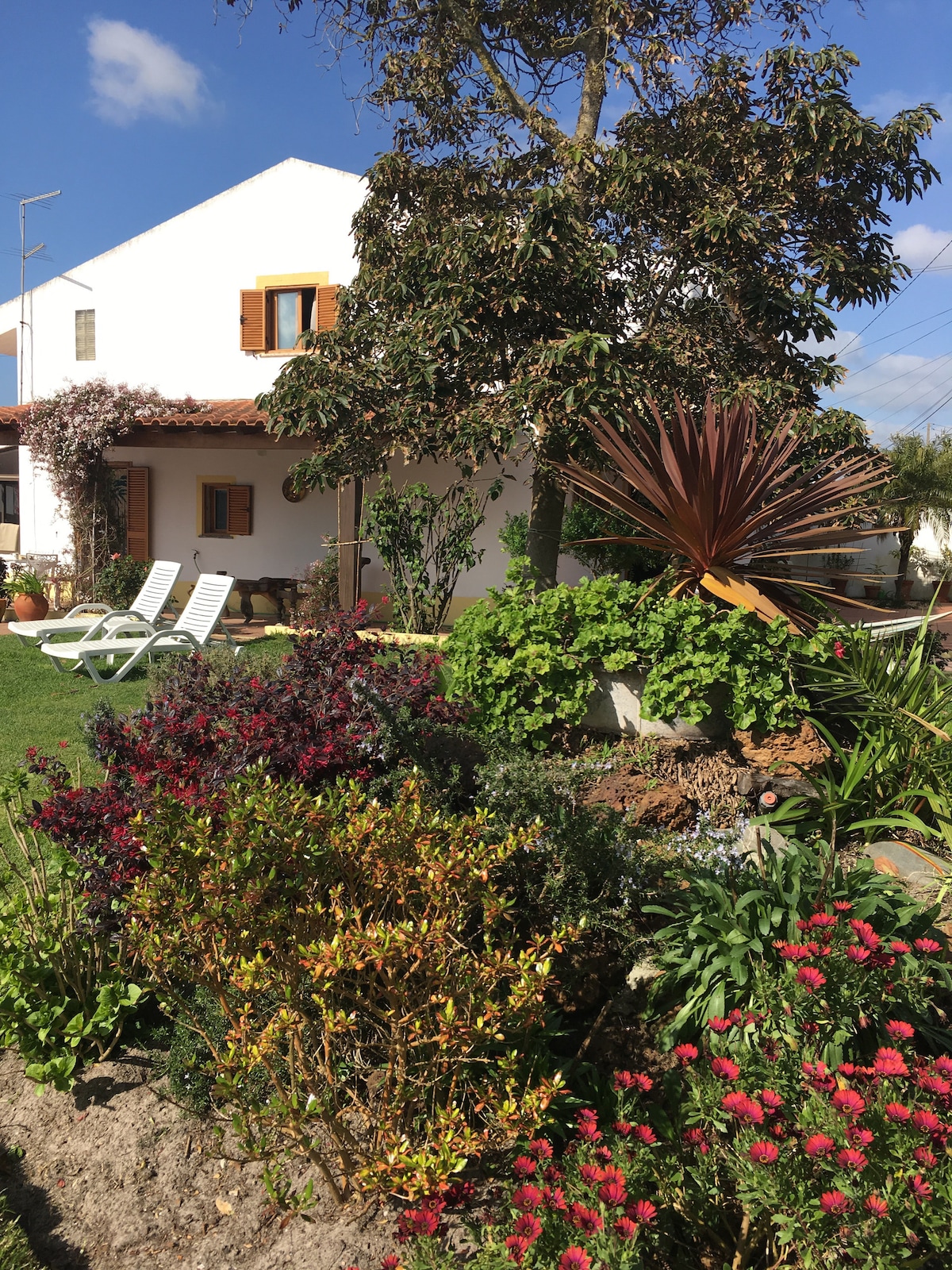A well-maintained garden surrounds the exterior of Finca Abacate, featuring colorful flowering plants and lush greenery. Sun loungers are positioned for relaxation, while a charming white building with orange accents serves as a backdrop, highlighting the tranquil rural setting.