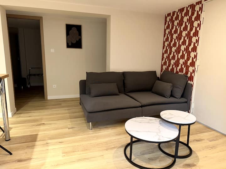 Appartement Souplex Neuf - Kintzheim