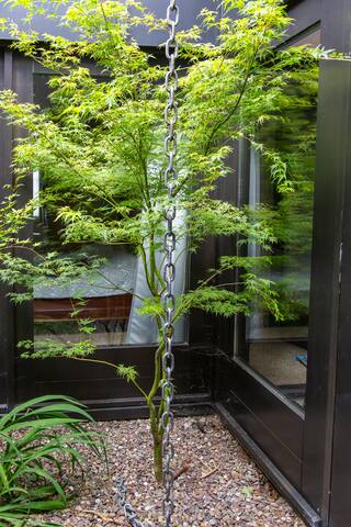 Luxurious, low carbon, architecturally renowned gallery image 2