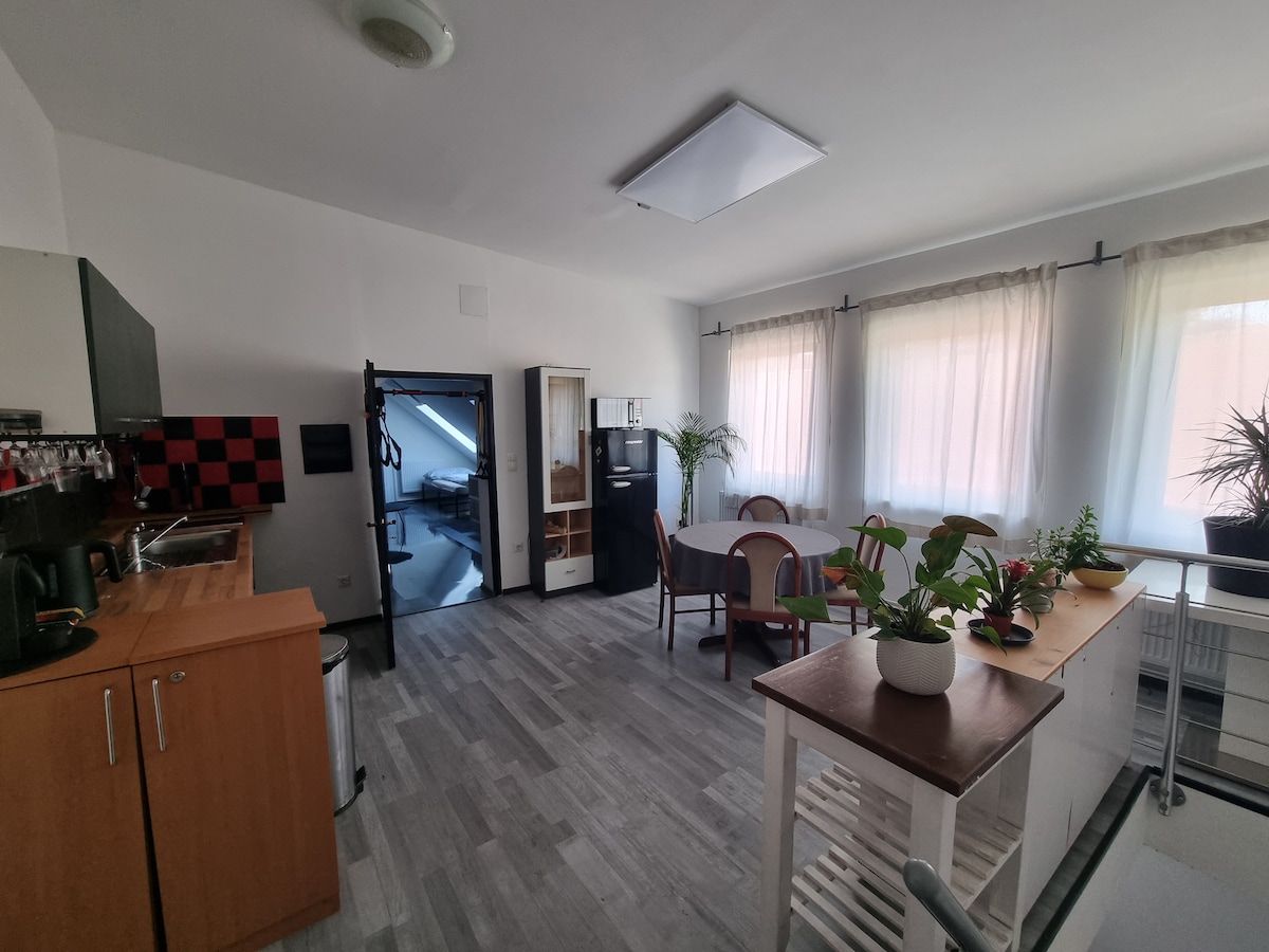 A spacious kitchen area is shown, featuring modern cabinetry and a dining table surrounded by chairs. Large windows allow natural light to fill the room, accentuating the minimalist design. Houseplants add a touch of greenery, enhancing the open and airy atmosphere.