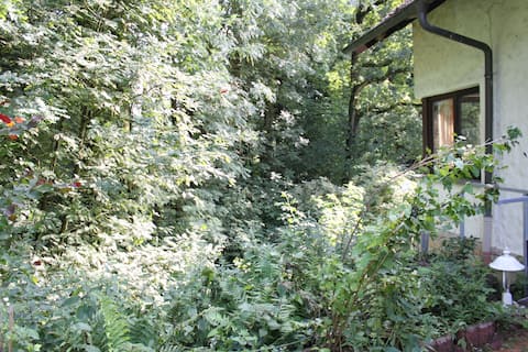 FeWo Harling - Waldsamkeit