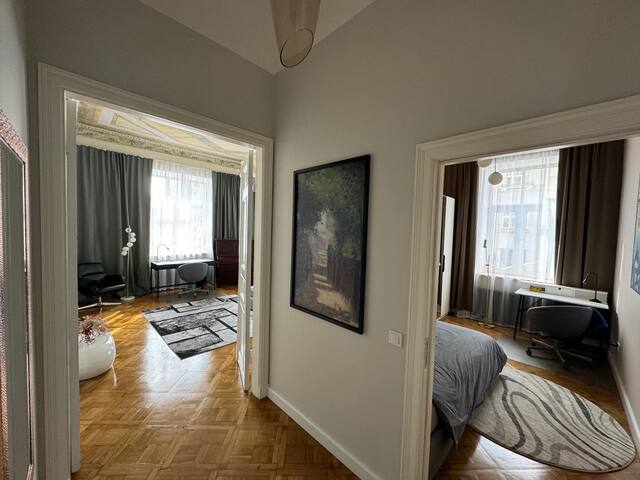 Beautiful and central art nouveau with AC gallery image 5