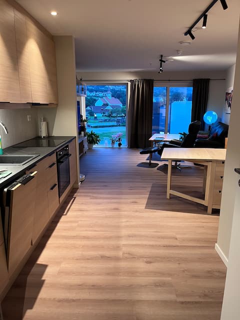 Apartment in the city center close to everything!