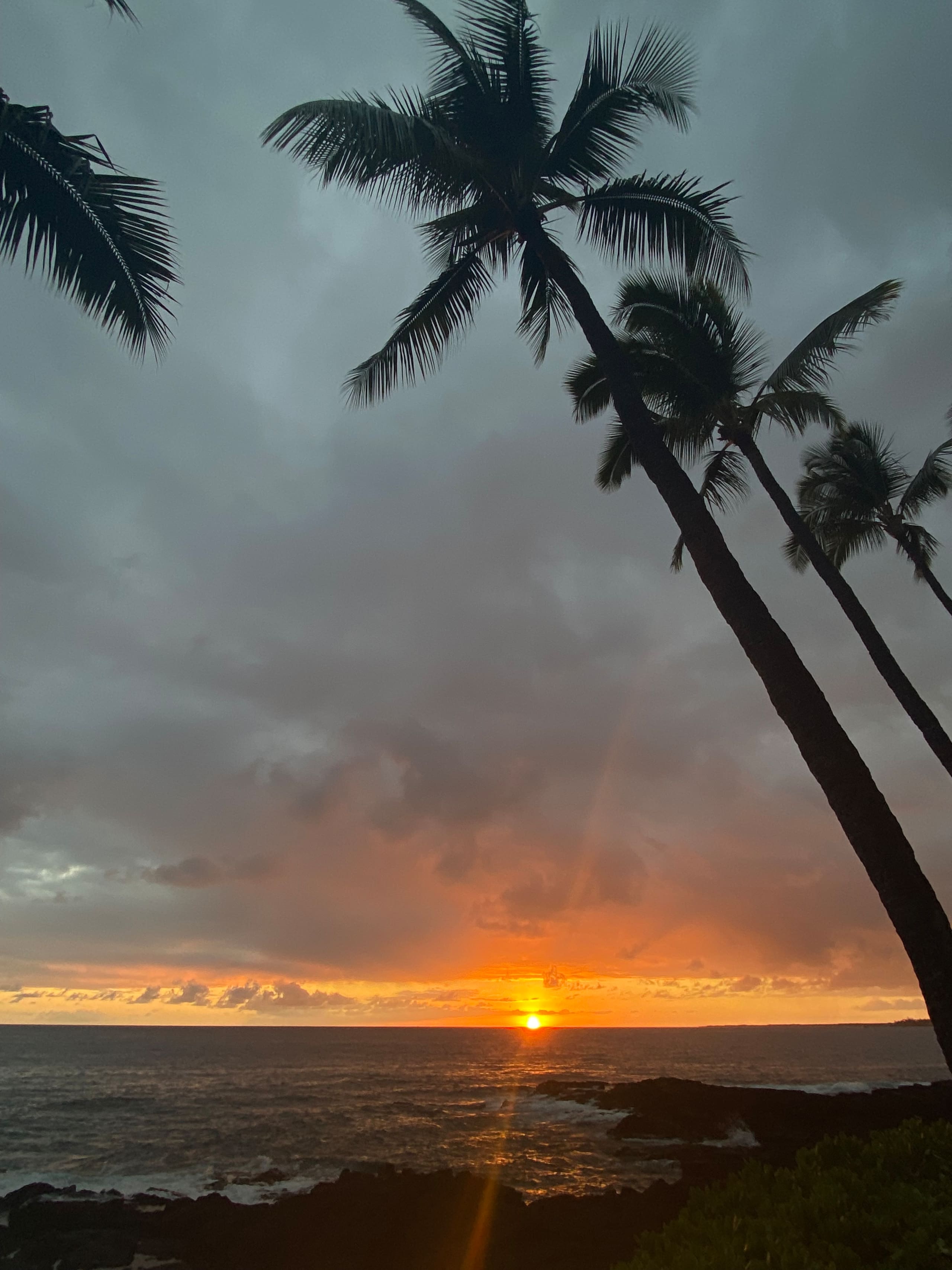Classy condo in Kona - Photo 51