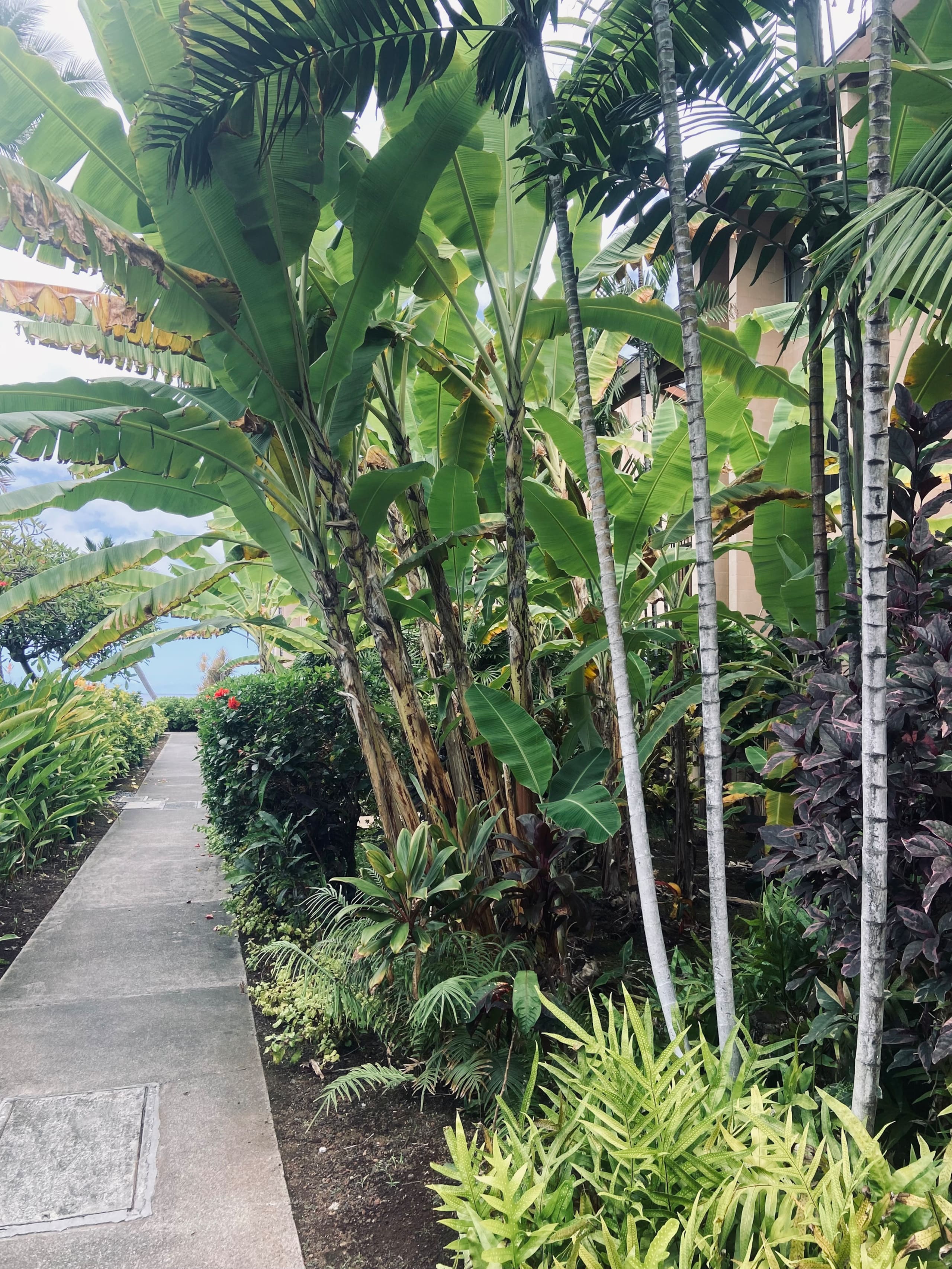 Classy condo in Kona - Photo 34