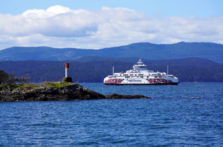 Main Floor Majesty gallery image 5