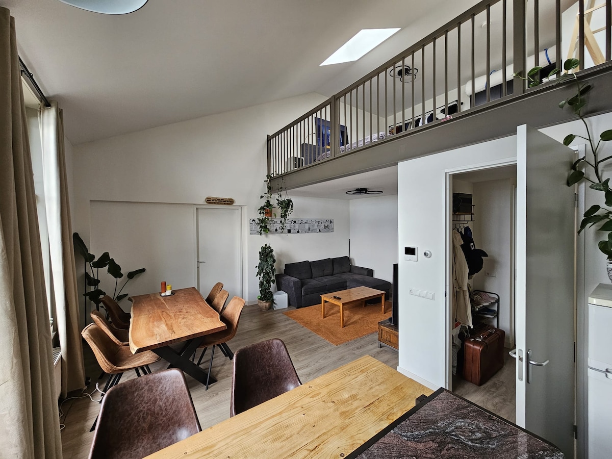 An open-concept living space features a large wooden dining table positioned near the kitchen, accommodating numerous guests. A comfortable sofa is situated in the lounge area, and a small rug adds warmth to the hardwood floor. A lofted area above provides additional space.