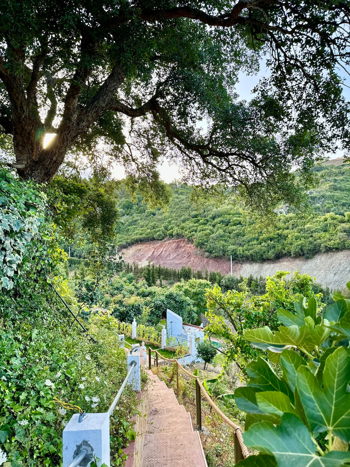 A winding pathway descends through lush greenery, bordered by tall trees and vibrant foliage. Stone steps are visible, leading through the natural landscape toward a distant hillside. Sunlight filters through the leaves, creating a serene atmosphere.