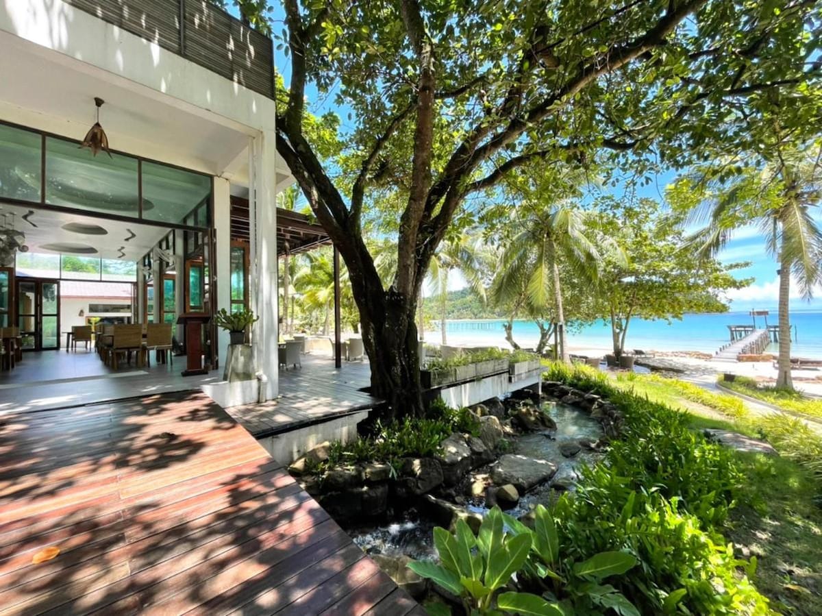 A spacious outdoor area is framed by lush greenery and a large tree. A wooden deck leads to a calm stream, with views of the beach and palm trees. The nearby building features large windows, inviting natural light into the space.