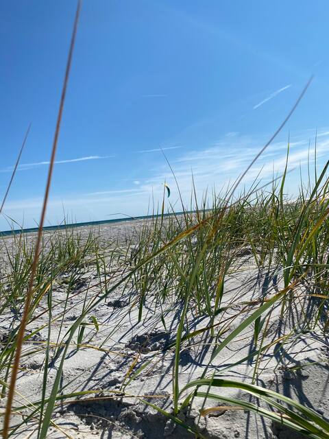 Beachhouse with seaview