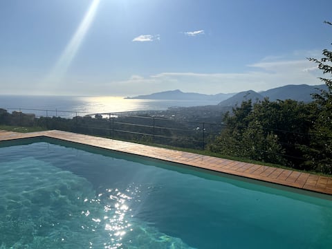 OLIVE TREES AND SEA (CITRA 010028-LT-0241)