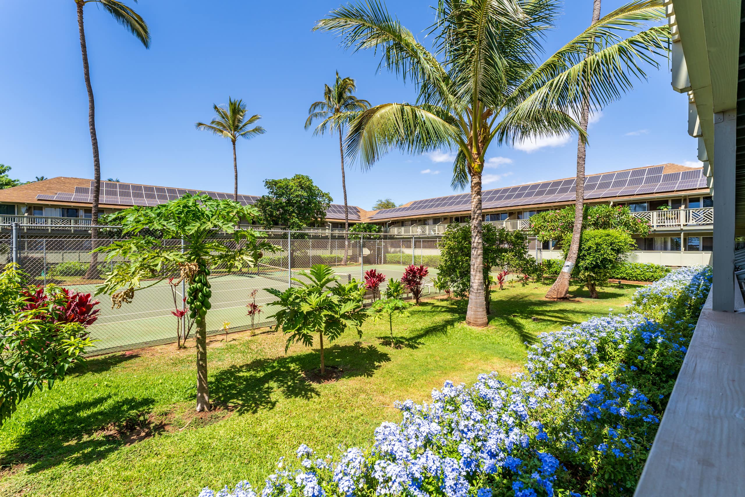 Condo in Kihei · ★4.88 · Studio · 2 beds · 1 bath - Image 19