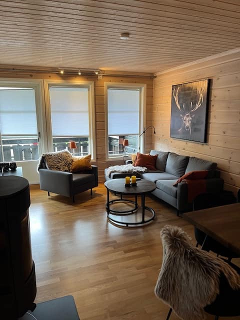 Apartment at Tyinkrysset