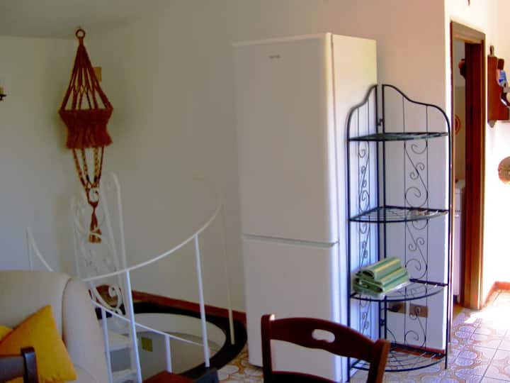 Casa Anita (Wild House) - Orbetello