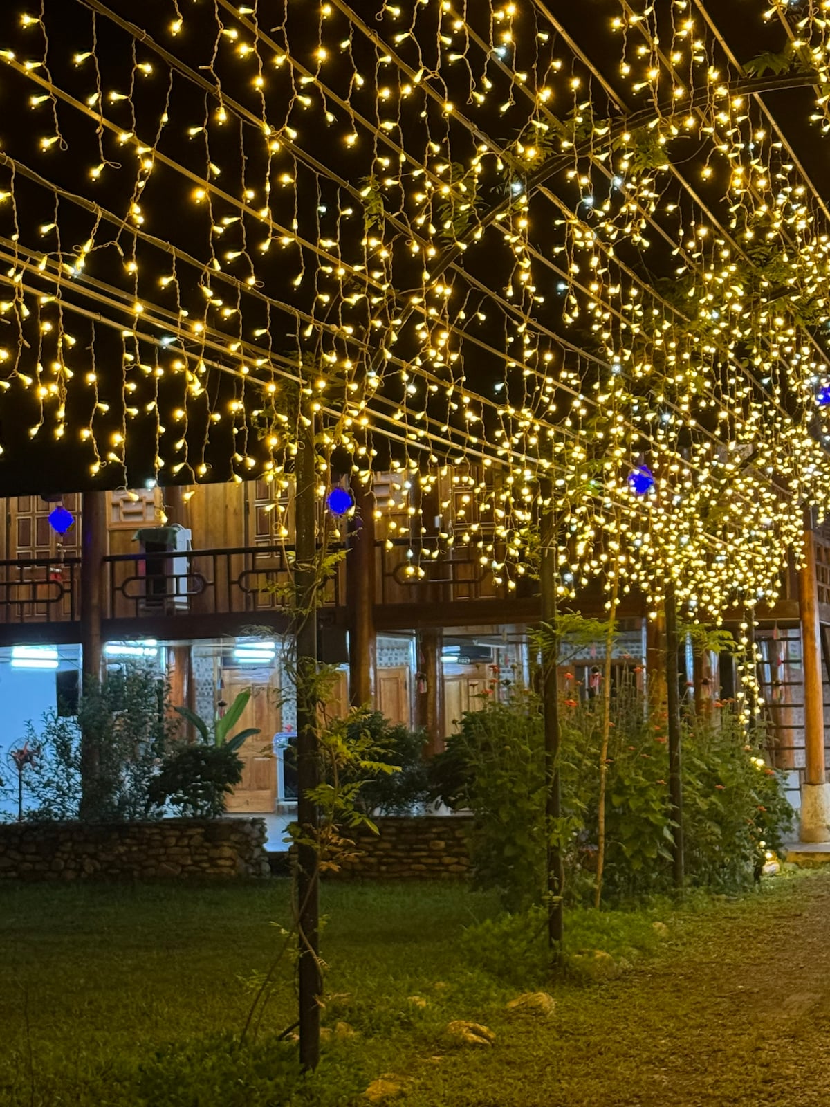 A serene outdoor area is adorned with warm white string lights, creating a calming ambiance. Lush plants and blue decorative elements are visible among the greenery, while a wooden structure can be seen in the background, enhancing the tranquil environment.