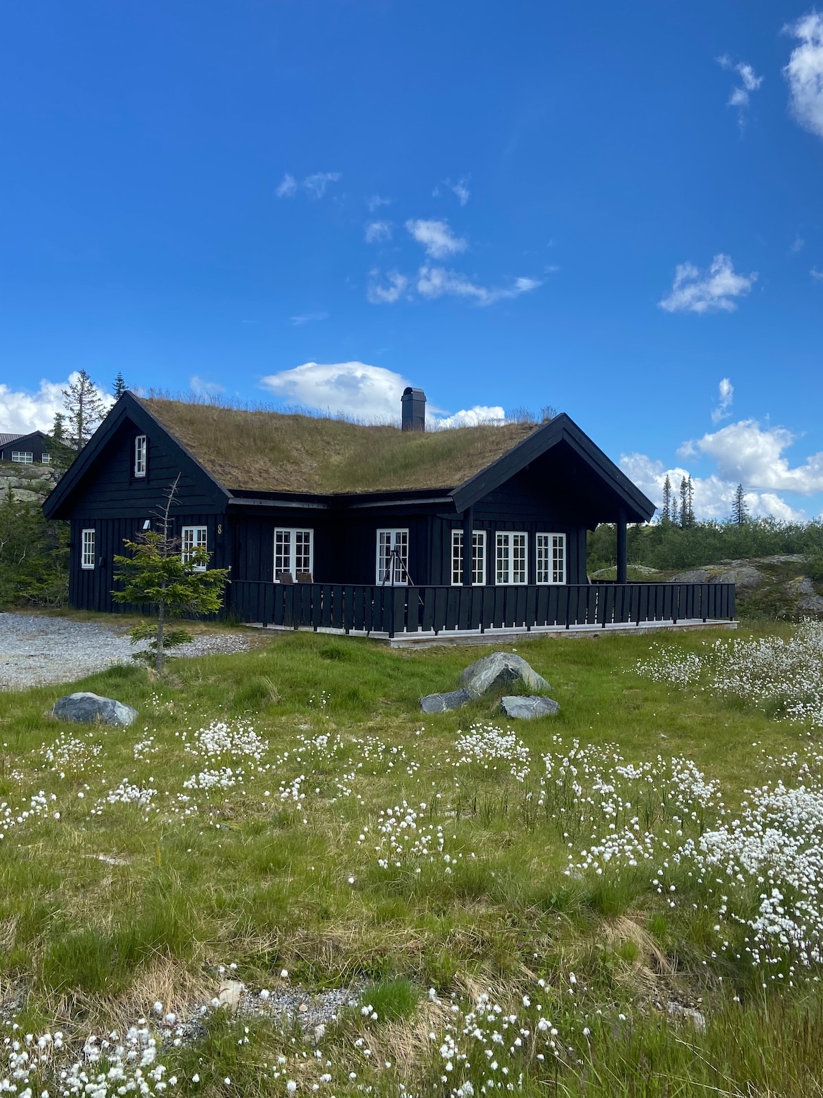 A black wooden cabin features a green roof and large windows framed in white. The surrounding landscape consists of lush grass dotted with small white flowers and smooth stones, creating a serene setting under a bright blue sky with scattered clouds.