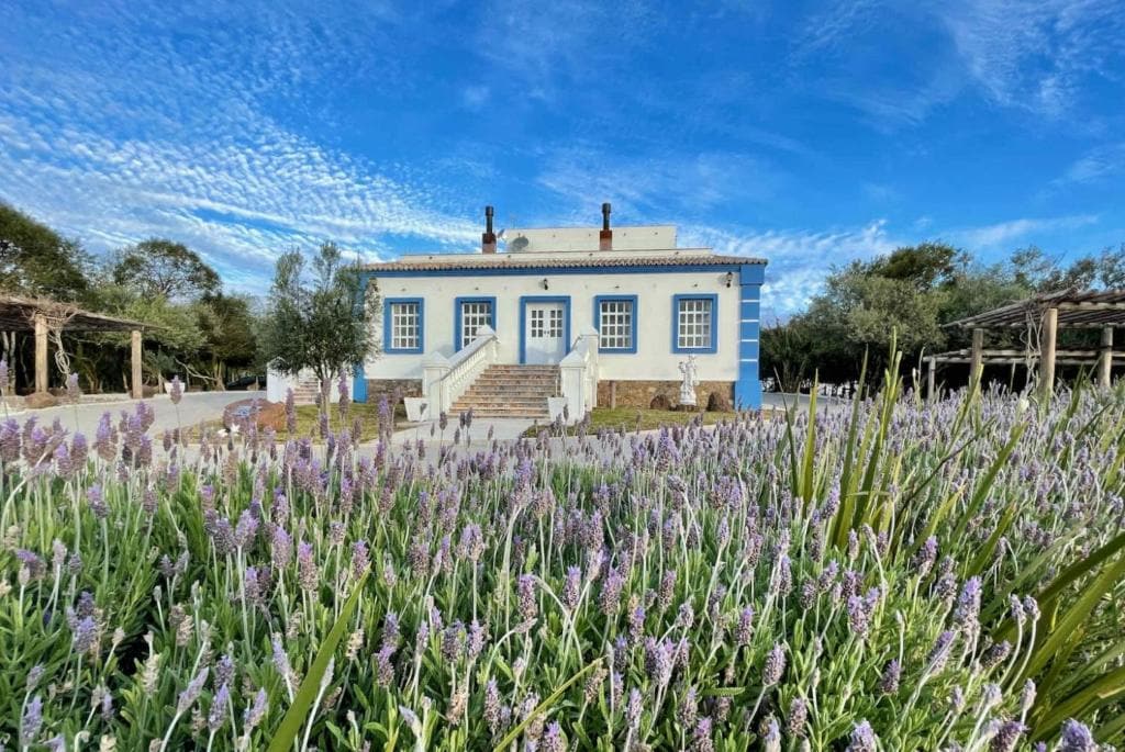 A charming building features blue accents and white trim, set against a backdrop of well-maintained gardens. Lavender flowers in full bloom create a colorful foreground, while stairs lead up to the entrance. The sky displays a soft, cloud-streaked blue.